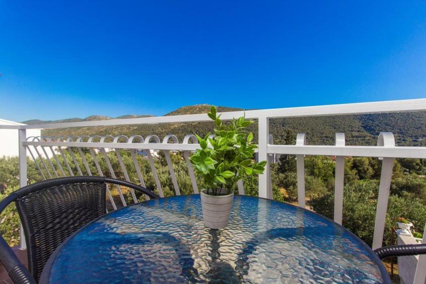 Apartment Belakusic 2